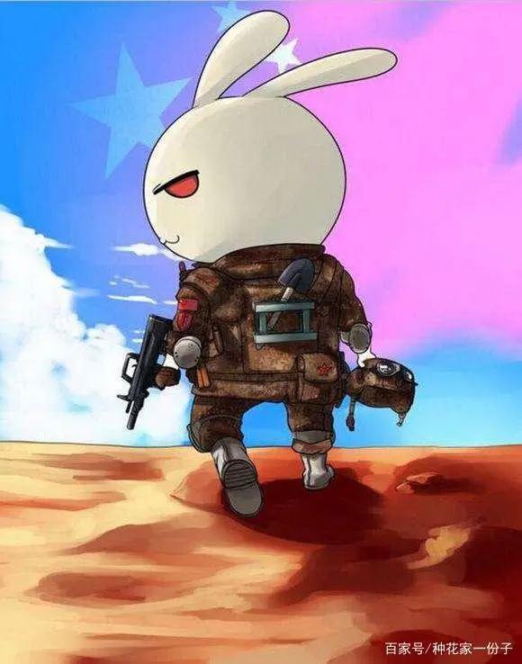 《那年那兔那些事儿》一一诸君，且听这龙吟！