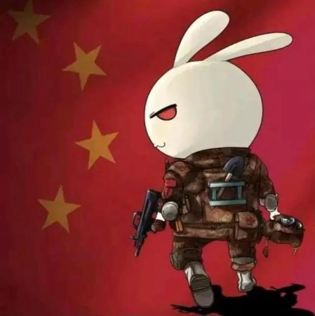 《那你那兔那些事儿》每一个中国人都有一颗爱国心