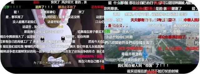 《那年那兔那些事儿》：此生无悔入华夏，来世愿在种花家！