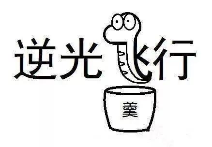 《那年那兔那些事儿》杰出的爱国动画