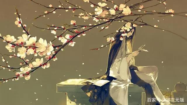 少女心爆棚的国漫，灵契仅排第二，第一圈粉无数