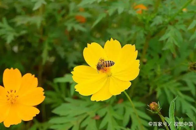 《女娲成长日记》敖潜顿时郁闷，这种被人当不懂事小孩感觉真不好