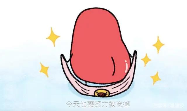 短小又爆笑，推荐6部国产泡面番，最后一部刚从年更变周更