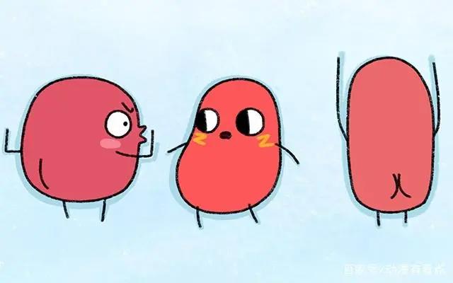 请吃红小豆吧第二季：萌萌的红小豆能否续写第一季的好口碑？