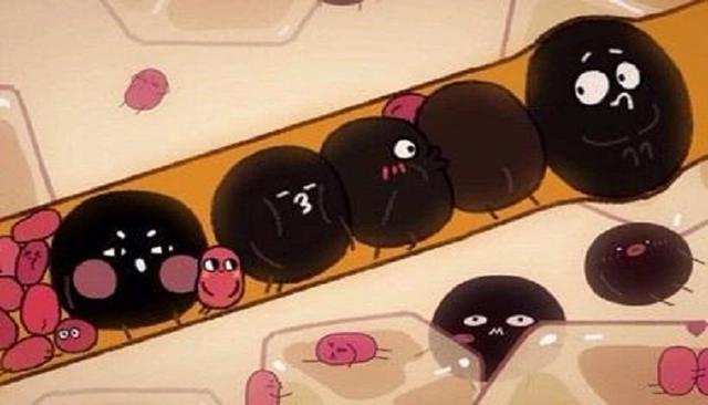 《请吃红小豆吧》：一部顶级国漫，豆瓣评分9.0却很少有人看过