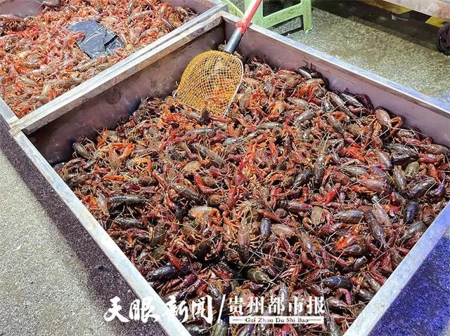 「都市聚焦」有人花800元请代拍，有人花费超10万元！“万物皆可盲盒”到底有多火