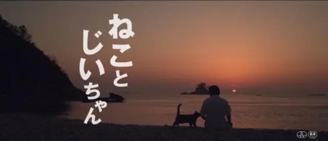 除了《流浪地球》，2019年还有哪些小说会改编成影视剧？