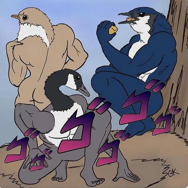 当粉丝质疑漫画家给鸟画的腿不够真实后，反转来了……