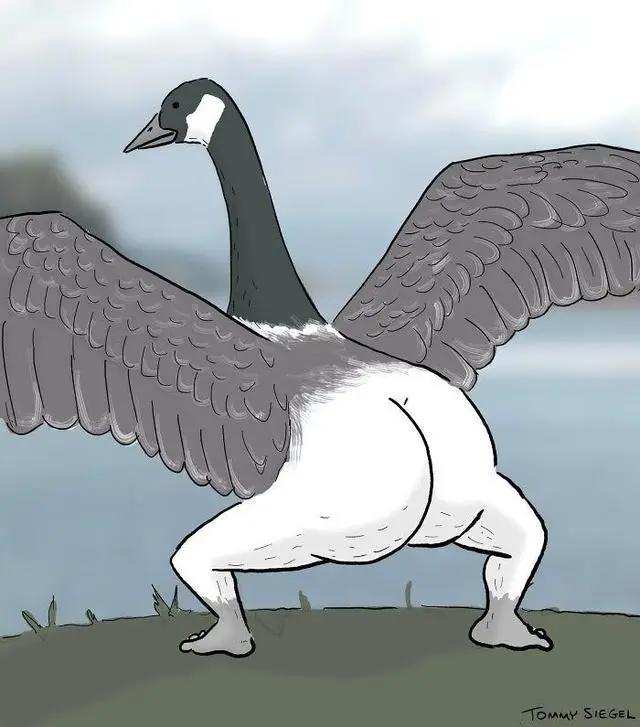 当粉丝质疑漫画家给鸟画的腿不够真实后，反转来了……