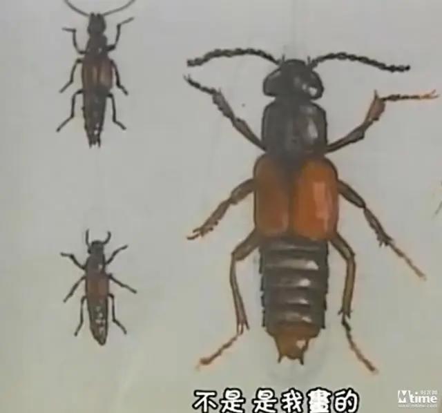 “漫画之神”手冢治虫30个关键词（上篇）