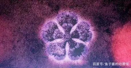 《黑色五叶草》动画播到了42集，围绕flag展开的套路你可知道？