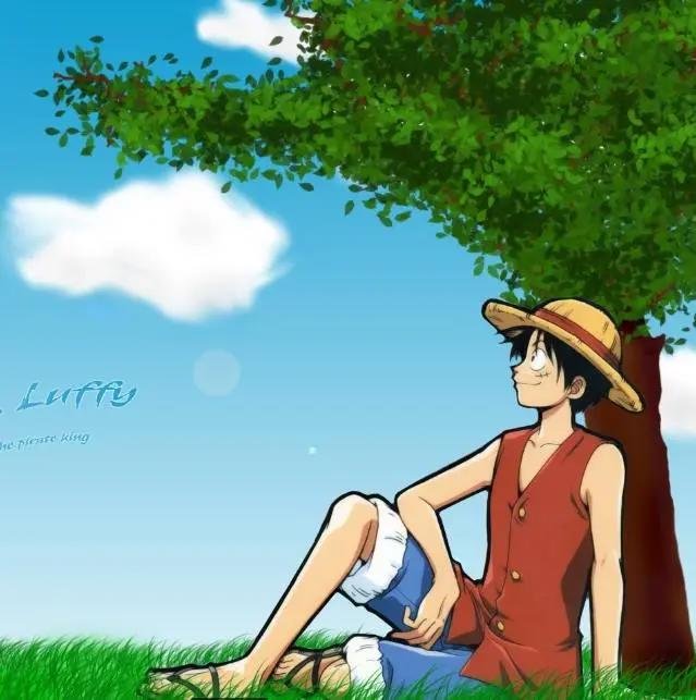 热播动漫排行：黑色四叶草垫底，名侦探柯南仅第三，第一当之不愧