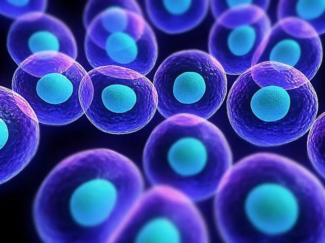 人类不可以永生吗？谷歌首席未来学家：人类或在2045年实现永生