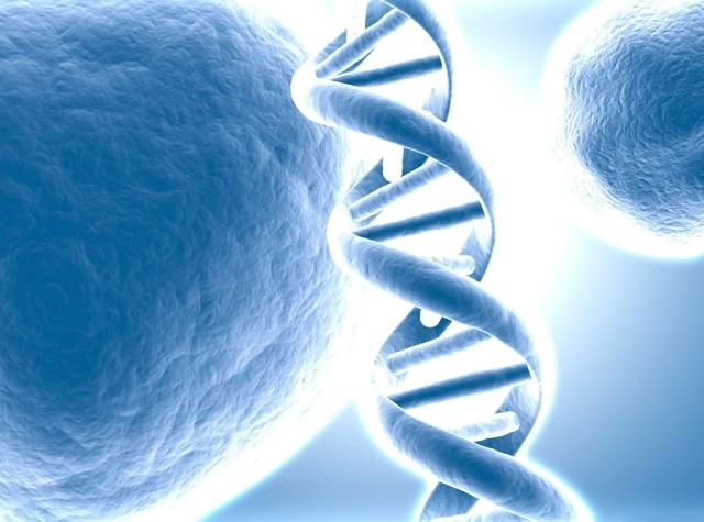 人类不可以永生吗？谷歌首席未来学家：人类或在2045年实现永生