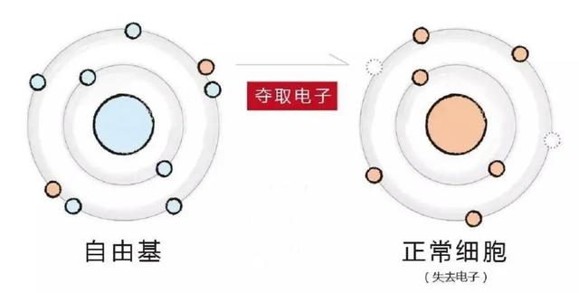 人类不可以永生吗？谷歌首席未来学家：人类或在2045年实现永生