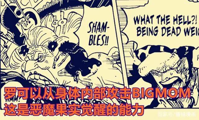 海贼王1030话，基德与罗的恶魔果实已觉醒，阿普与德雷克商量联手