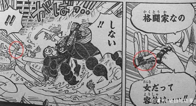 海贼王1021话：罗宾变身成恶魔，手撕黑玛利亚，战力要重排？