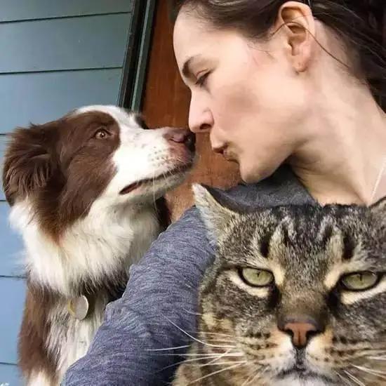 喵星人都是超级吃醋王骗子！说好的只爱我一个呢！