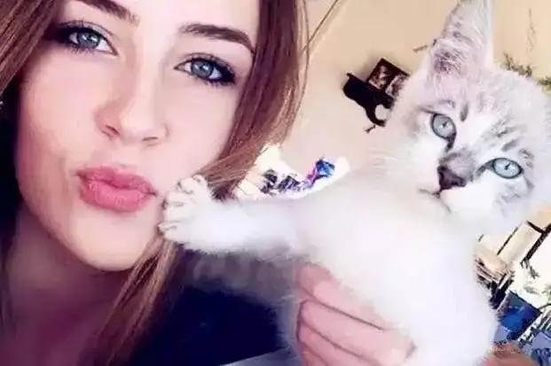 喵星人都是超级吃醋王骗子！说好的只爱我一个呢！