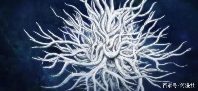 开局就犯错！盗墓笔记系列动画以《秦岭神树》开场，值得期待吗？