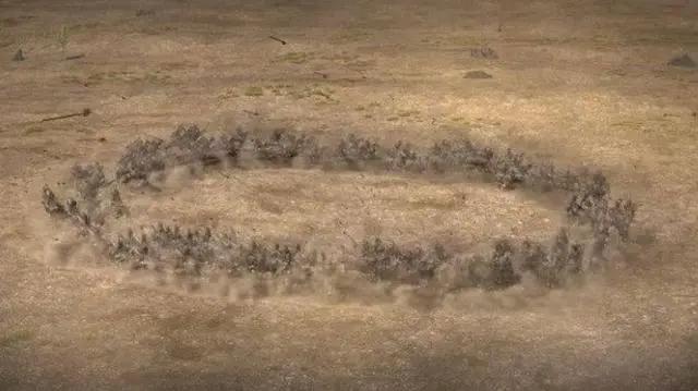 观海策：“不合潮流”的纯正古风