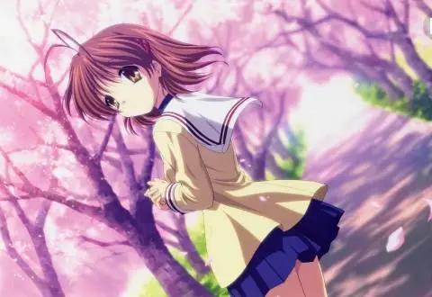 盘点动漫中的六大“贤妻良母”，网友：抱走平泽忧，你们自己选！