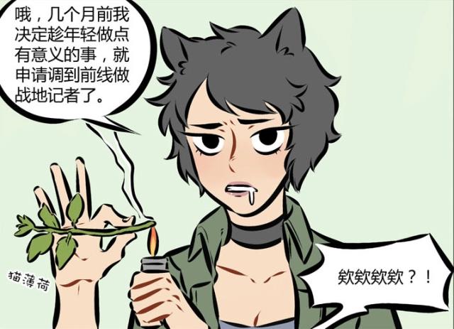 万圣街：桃子是只醉猫，没有“猫薄荷”的她跟咸鱼没什么区别？