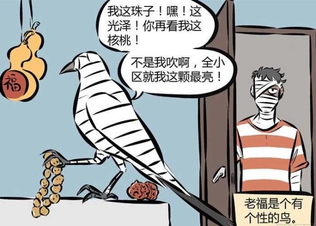 万圣街：宠物老福“多才多艺”，身为主人的阿布“自叹不如”？