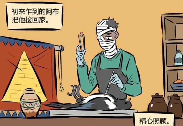 万圣街：宠物老福“多才多艺”，身为主人的阿布“自叹不如”？