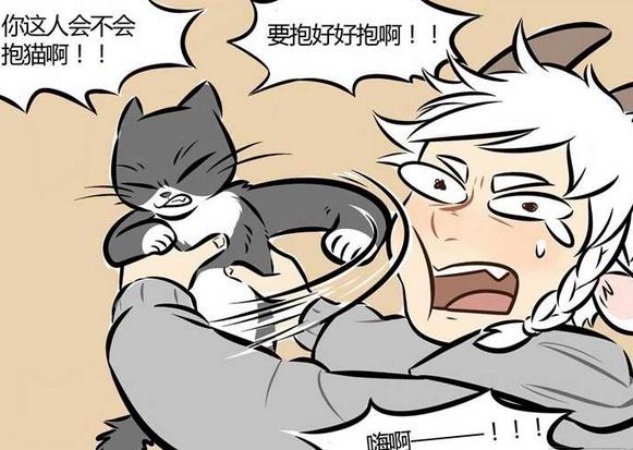 万圣街：隔壁邻居是个醉酒猫女，艾勒表示很危险！