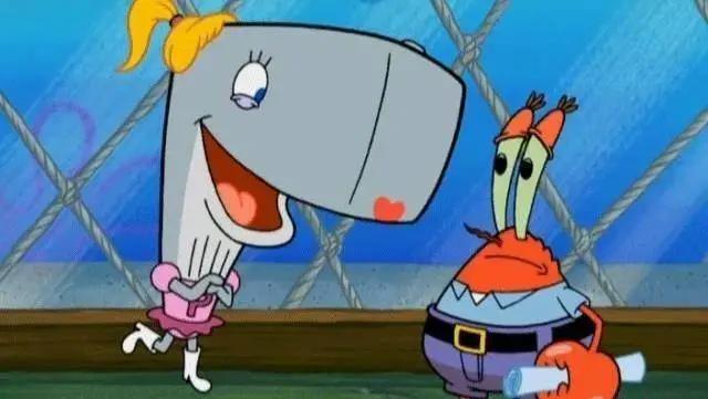 海绵宝宝电视剧，为什么蟹老板的女儿是条抹香鲸呢？