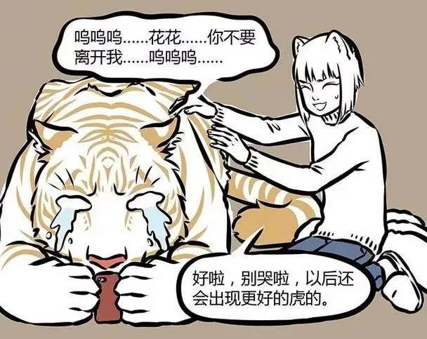 十部搞笑不需动脑的动漫，是宅在家里必备的利器