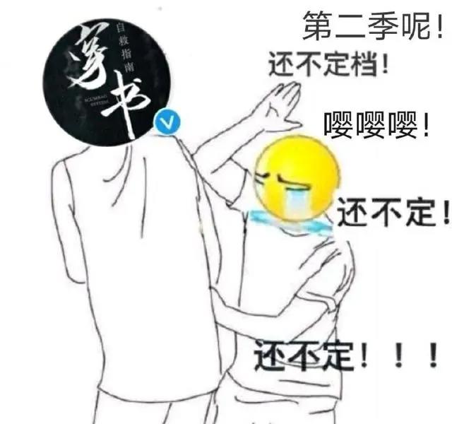 穿书自救指南，洛冰河发量太少，粉丝改建模为冰妹植发