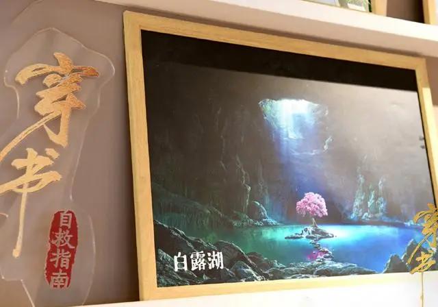 穿书自救指南：上海书店活动，完成任务赢周边，看到了白露湖的图