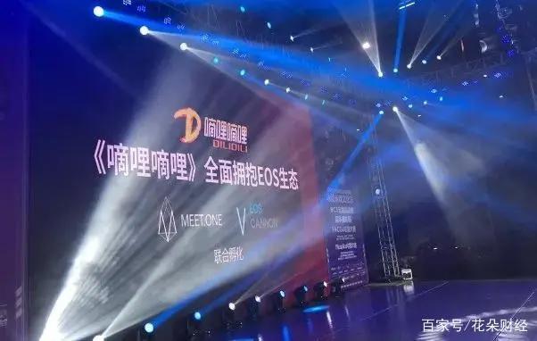 D站“失火”，盗版动漫江湖震荡