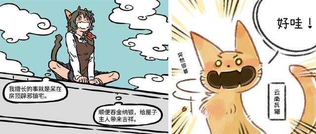 同样是瓦猫，在非人哉中她极受欢迎，在有兽焉中她却不被龙王接受