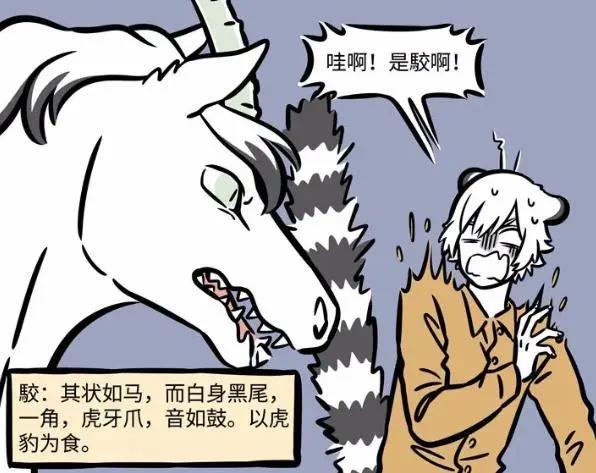 非人哉又迎来新角色，没有以人类形态登场，看造型是大士的最爱