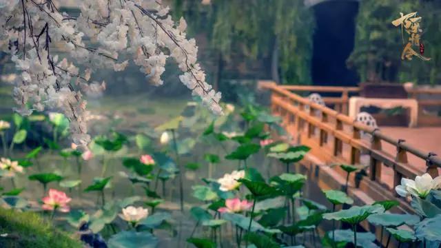 《陈情令》即将和我们见面，你更喜欢《魔道祖师》动漫还是前者？