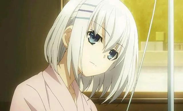 为什么说我们人均都是“白毛控”，“白毛”为什么有这么多人喜欢