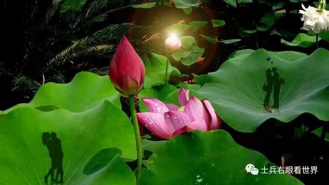 《鹿径路标·6》系列·原创