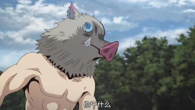 善逸因颜值高而鄙视伊之助，直到伊之助取下头套，便有了这一幕