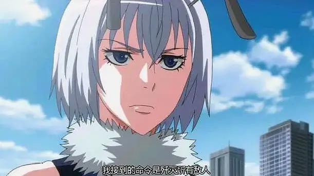 时隔五年，雏蜂动画终于要回归了，你期待吗？