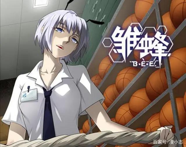 《雏蜂》动画版定档，这次它能咸鱼翻身，再创辉煌吗？