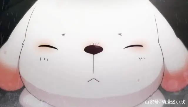 《馒头日记》：待价而沽的善良，流浪狗被收养，流浪小孩无人理睬