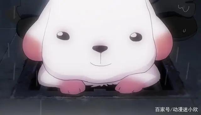 《馒头日记》：待价而沽的善良，流浪狗被收养，流浪小孩无人理睬