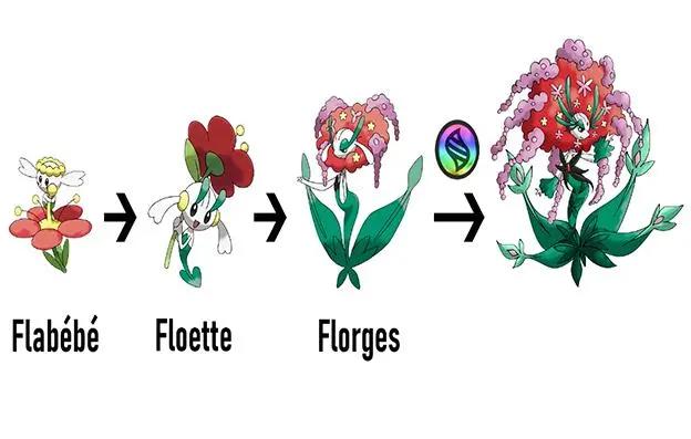 Mega进化的宝可梦们，甲贺忍蛙全副武装上阵，贵妇形象的花洁夫人