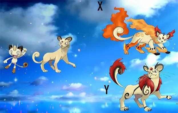 Mega进化宝可梦：氪金力量成就猫老大，土台龟石山形态有最强防御