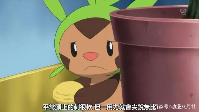 精灵宝可梦：最独一无二的MEGA进化，还被宝可梦博士夸奖过