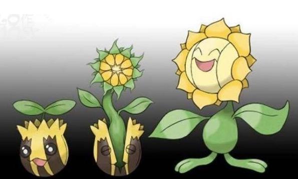 宝可梦进化过程，皮卡丘软萌，嘟嘟搞笑，看到快龙：不明觉厉！