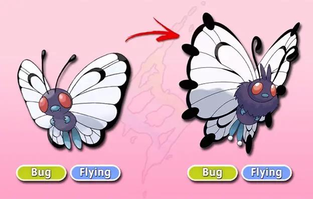 精灵宝可梦：宝可梦Mega进化，巴大蝶是冒险开始，卡比兽性情大变